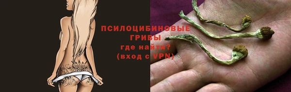 спиды Арсеньев