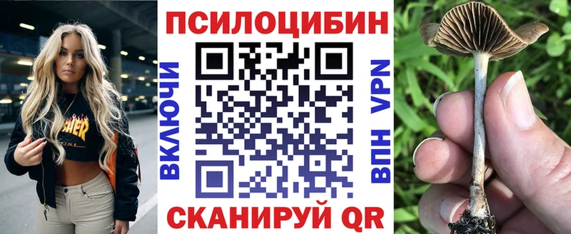 Галлюциногенные грибы Cubensis  мега как зайти  Таруса 